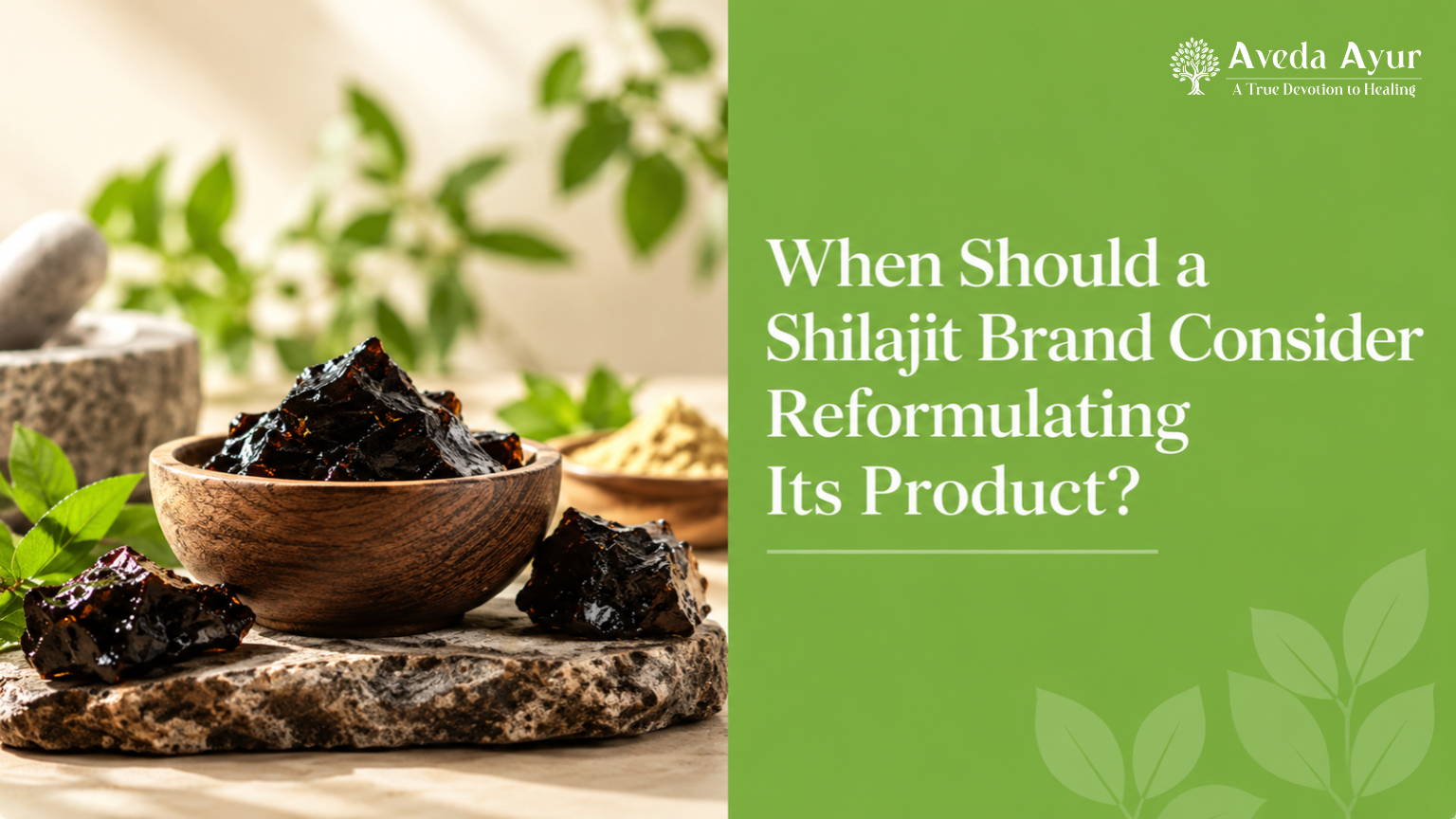 Shilajit Brand Consider Reformulating