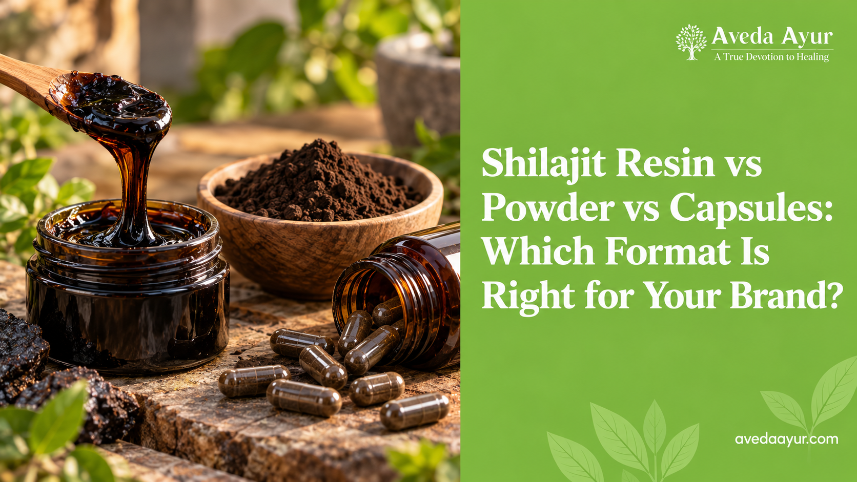 Shilajit Resin vs Powder vs Capsules
